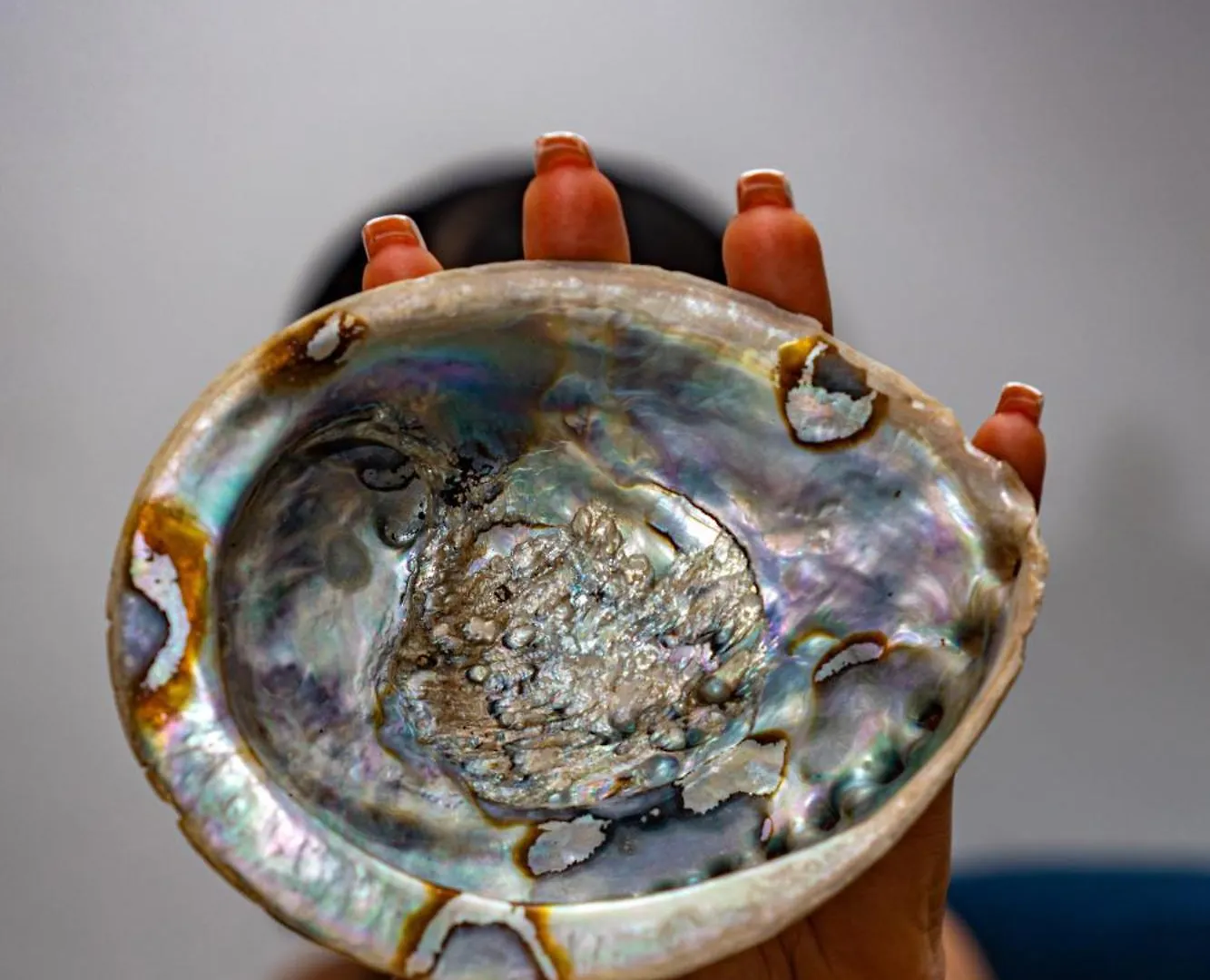 Abalone Private Residence サントドミンゴ